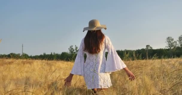 Vista Trasera Mujer Vestido Blanco Sombrero Caminando Campo Trigo Naturaleza — Vídeo de stock