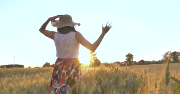 Cámara Lenta Vídeo Mujer Caminando Campo Trigo Naturaleza Paisaje — Vídeos de Stock