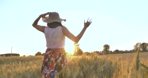 Video Rallentatore Della Donna Che Cammina Nel Campo Grano Nella — Video Stock