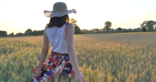 Vista Trasera Mujer Caminando Campo Trigo Naturaleza Paisaje — Vídeos de Stock