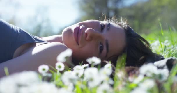 緑の草の牧草地に横たわってリラックスしたブルネットの女性 — ストック動画