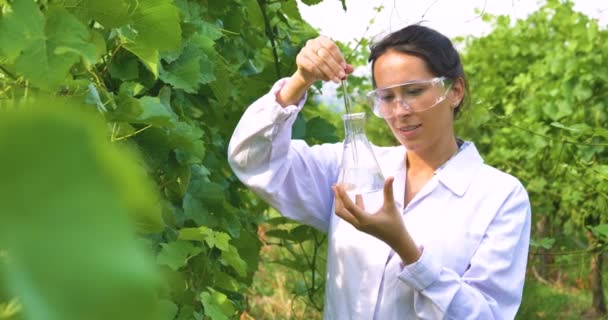 Vídeo Agricultor Mulher Casaco Branco Verificando Qualidade Das Plantas Usando — Vídeo de Stock