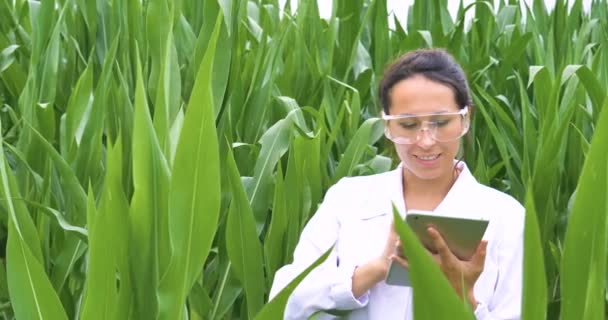 Видео Женщины Фермера Белом Халате Лабораторных Очках Проверяющей Качество Растений — стоковое видео
