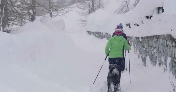 Film Parą Psem Wakacjach Idzie Spacer Pokrytych Śniegiem Górach — Wideo stockowe