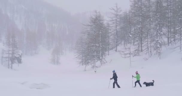 休日に犬とカップルのビデオは 雪に覆われた山の中を散歩するために行く — ストック動画