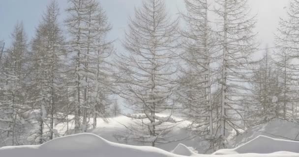 Landschaft Aus Schneebedeckten Bergen Einem Sonnigen Tag Konzept Von Urlaub — Stockvideo