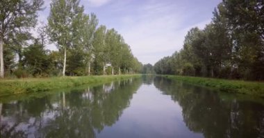 kırsal nehir ve Orman ağaçları video