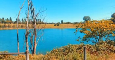 kırsal göl ve Orman ağaçları Sonbahar sezonu video 