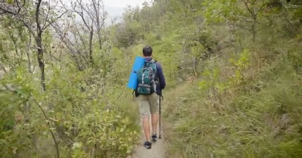 背视图 徒步旅行者在森林步行与徒步者杆的视频 — 图库视频影像