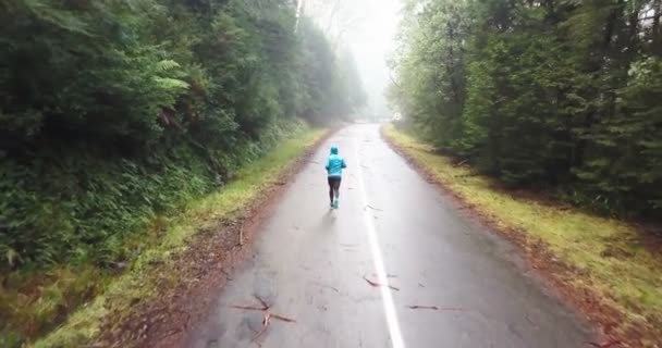 木々の間の森のアスファルト道路上で走っている男性と青いジャケットを着て走っている男のバックビュービデオ — ストック動画