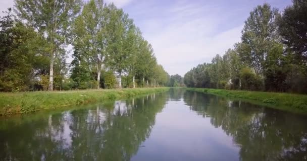 Vidéo Campagne Rivière Arbres Forestiers — Video