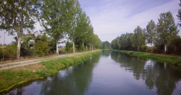 vidéo de la campagne rivière et arbres forestiers 