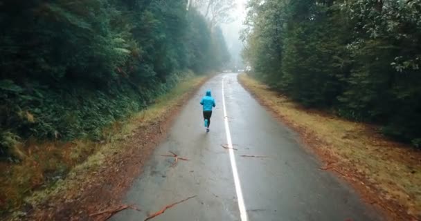 森の中で道路の真ん中に低霧走っている人の空撮 ランニング フィットネス ライフ スタイル — ストック動画