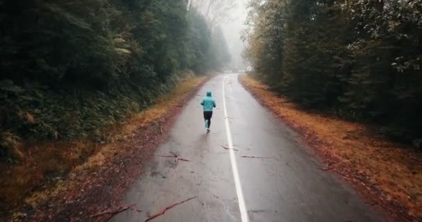 森の中で道路の真ん中に低霧走っている人の空撮 ランニング フィットネス ライフ スタイル — ストック動画