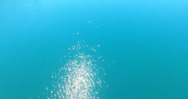 鸟无人机在阳光明媚的日子里 带着水在意大利的稻田上飞行 在蓝天上有一些漂亮的集群 — 图库视频影像
