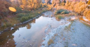 Uçak bir güneşli gün arazi, ağaçlar, tepeler, kavramı görünümü: ekoloji, biyo.