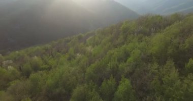 Harika, güzel bir yer kayalık yamaç ve bir şelale, nazik üfürüm, kavram te ses kaynağı ile: ekoloji, biyoloji, seyahat.