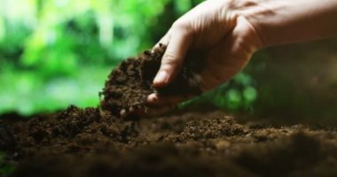 kahverengi toprak zemin dokunmadan kişinin kısmi görüntüle video 