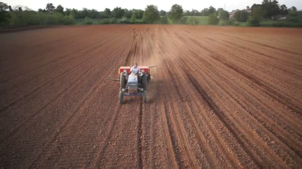 Luchtfoto Van Trekker Oogst Veld Bovenaanzicht Van Hoogte — Stockvideo