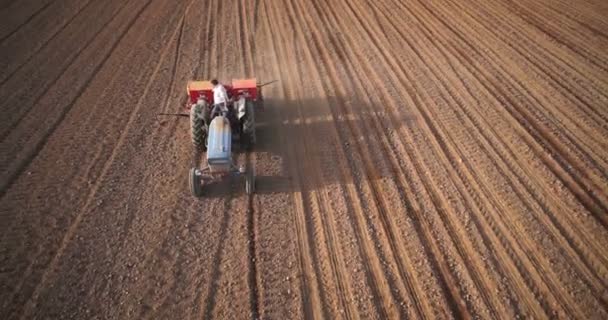 Luchtfoto Van Trekker Oogst Veld Bovenaanzicht Van Hoogte — Stockvideo