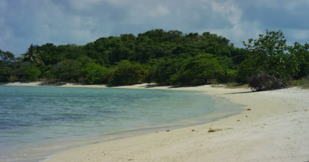 Tajski Kolory Carribean Antenowe Paradise Beach Widokiem Ludzie Naprawdę Ładne — Wideo stockowe