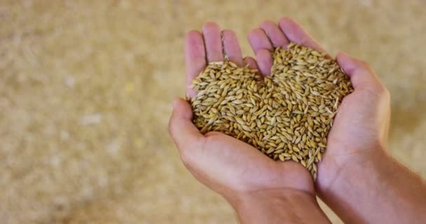 Lareira Nas Mãos Jovem Agricultor Levantar Misturar Movimento Lento Extremo — Vídeo de Stock