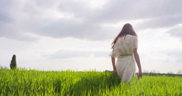 妇女在草地上享受和行走在夏季绿草的视频 — 图库视频影像