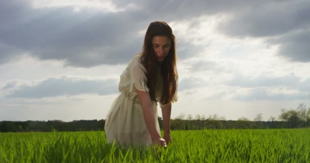 夏緑の牧草地で草に触れる女性のビデオ — ストック動画