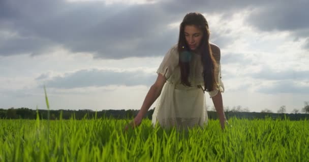 Cámara Lenta Vídeo Mujer Disfrutando Hierba Verde Verano Prado — Vídeo de stock