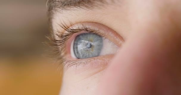 Nahaufnahme Eines Männlichen Blauen Auges — Stockvideo