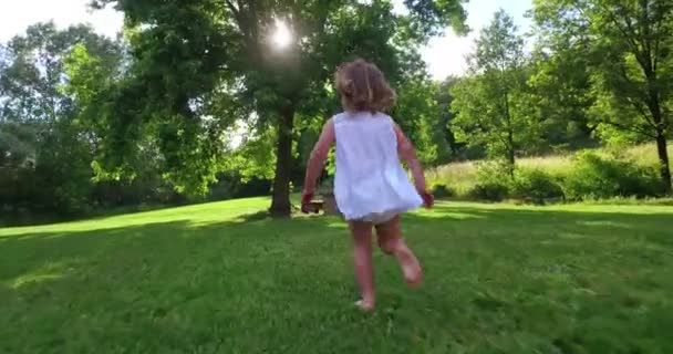 Back View Video Running Little Child Girl Dress Green Grass — Stock Video