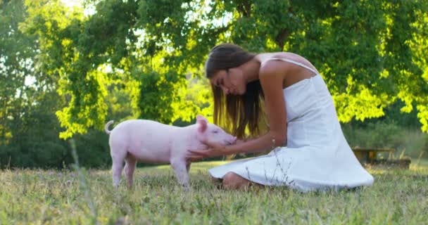 少女は愛撫し 完璧で緑の世界で豚にキスします 持続可能性と自然の愛を世界と動物のための愛の尊重します ビーガンやベジタリアンの概念 世界への接続 — ストック動画