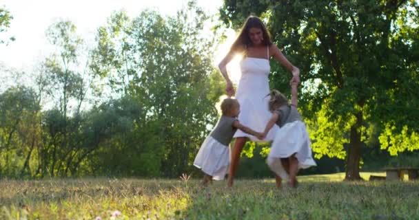 Ökologie Junge Mutter Mit Ihrem Entzückenden Zweijährigen Mädchen Das Freien — Stockvideo