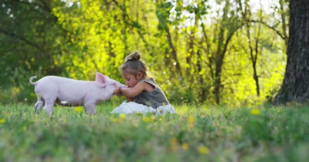 Chica Acaricia Besa Cerdo Mundo Verde Sostenibilidad Amor Por Naturaleza — Vídeos de Stock