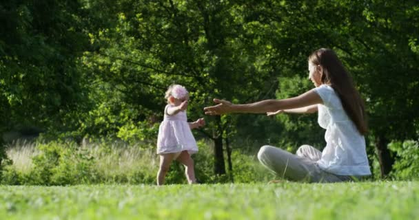 Mutter Und Kleines Mädchen Spielen Fröhlich Der Natur Die Mutter — Stockvideo