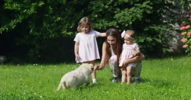 화창한 복장으로 발레리 그녀의 엄마와 정원에서 리트리버 강아지와 슬로우 모션에서 — 비디오