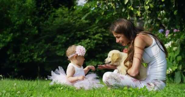 Una Niña Pequeña Vestida Como Una Bailarina Besando Perrito Amigo — Vídeos de Stock