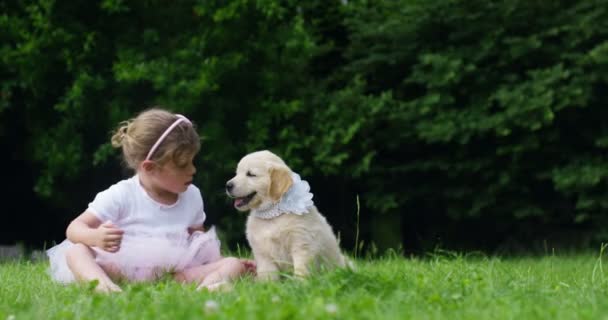 Una Ragazzina Vestita Ballerina Che Bacia Suo Cagnolino Amico Golden — Video Stock