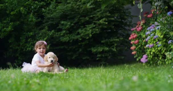 一个小女孩打扮成一个小舞者亲吻她的小朋友小狗 金毛猎狗坐在草坪和幸福的概念上的友谊 狗和人类之间的友谊 — 图库视频影像