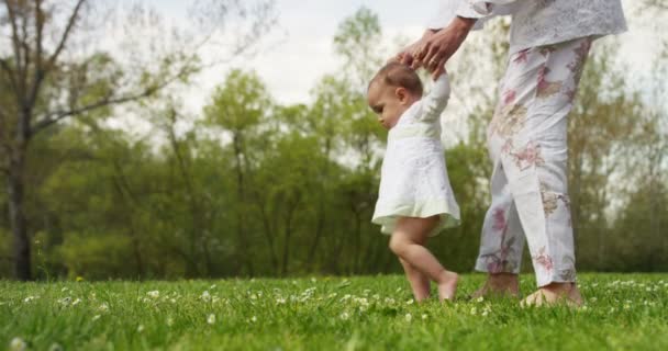妈妈和小女孩在大自然中快乐地玩耍 母亲把孩子抱在怀里放松一下 很高兴能像一家人一样在 Uhd 的阳光下在一起 — 图库视频影像
