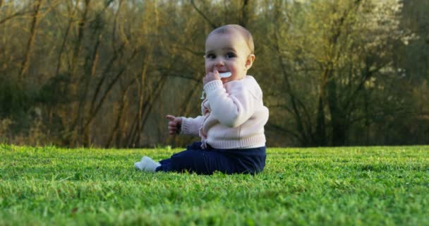 Ein Süßes Kleines Baby Schaut Die Kamera Und Freut Sich — Stockvideo
