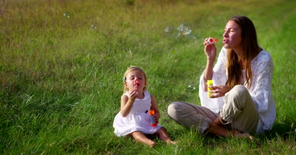 妈妈和小女孩在大自然中快乐地玩耍 母亲把孩子抱在怀里放松一下 很高兴能像一家人一样在 Uhd 的阳光下在一起 — 图库视频影像