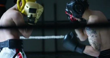 iki profesyonel boksörler mücadele ve halka eğitim video 