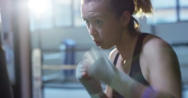 Vídeo Mulher Caucasiana Boxe Saco Perfuração — Vídeo de Stock