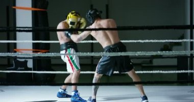 iki profesyonel boksörler mücadele ve halka eğitim video 