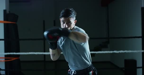 Día Gimnasio Boxeo Los Boxeadores Profesionales Están Luchando Entrenando Guantes — Vídeos de Stock