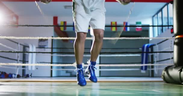 Dia Ginásio Boxe Boxeador Profissional Está Lutando Treinando Luvas Boxe — Vídeo de Stock