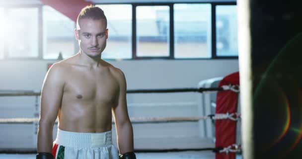 Día Gimnasio Boxeo Los Boxeadores Profesionales Están Luchando Entrenando Guantes — Vídeo de stock