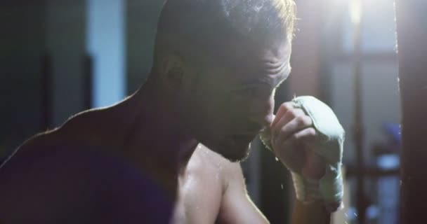 Día Gimnasio Boxeo Los Boxeadores Profesionales Están Luchando Entrenando Guantes — Vídeo de stock