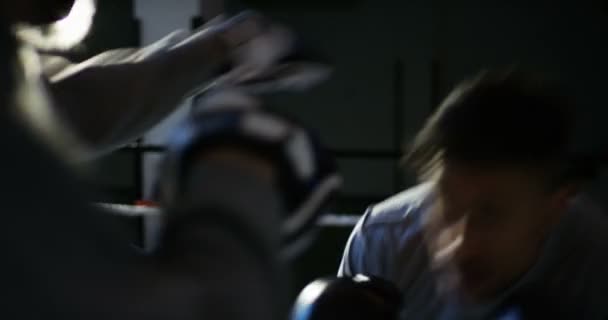 ボクシング ジムでの日 プロのボクサーが戦闘訓練 ボクシング グローブ 印象的な手法 スタンド 保護と耐久性です コンセプト スポーツ — ストック動画